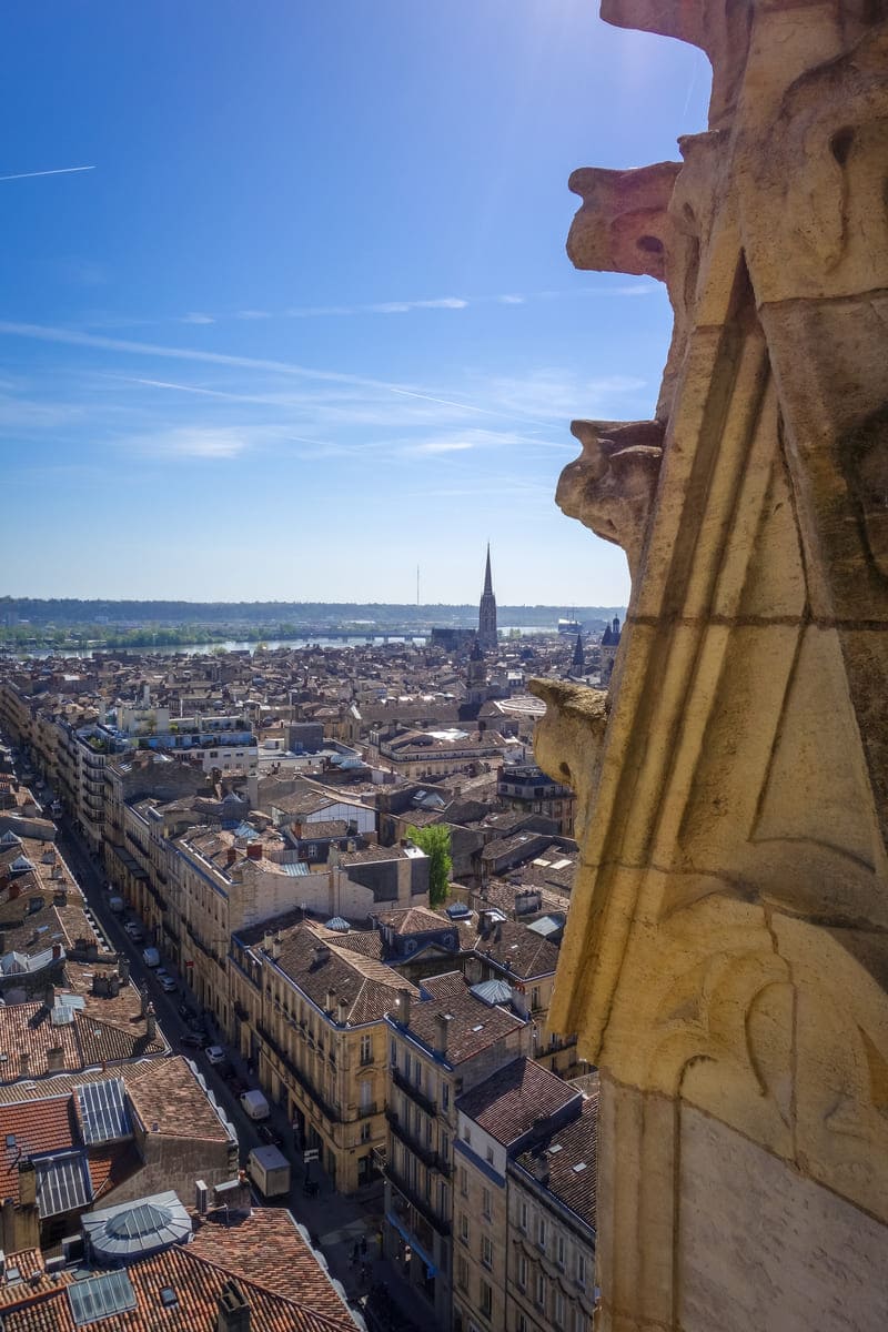 SO Nuisibles, intervient sur Bordeaux et sa région