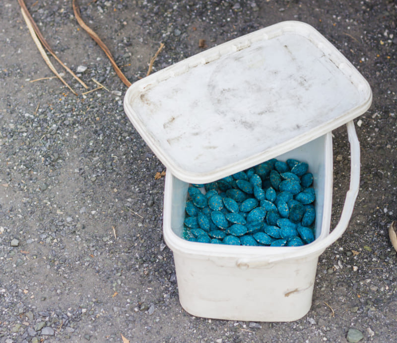 Appâts Rodenticides